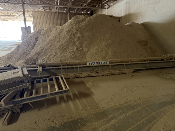 GL-181.jpg